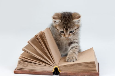 Moi le chat, j’aimerais tant savoir lire...